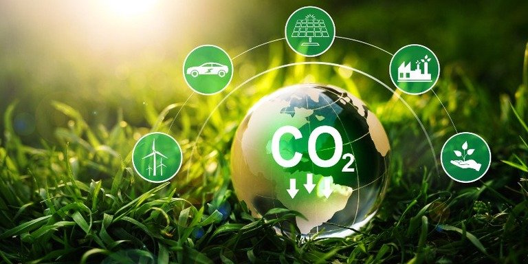 Taxa de carbono X certificação de carbono: entenda a diferença
