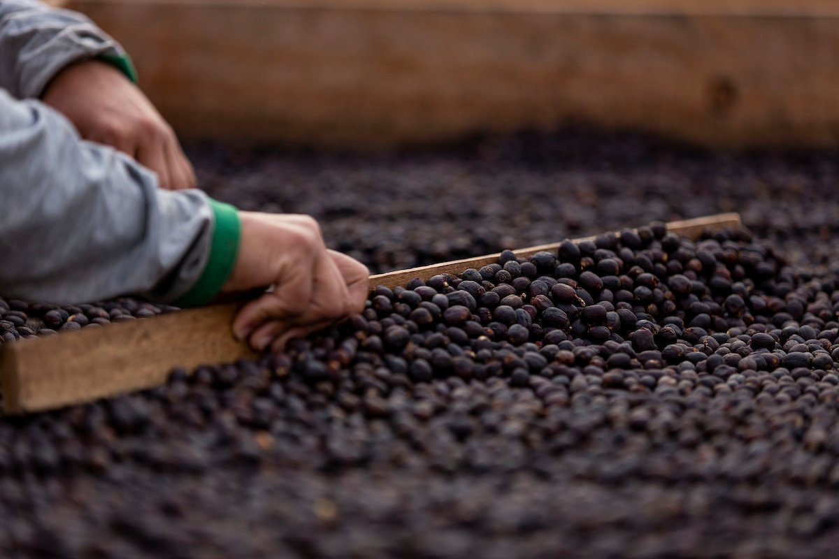 Café da Chapada de Minas é reconhecido com Indicação Geográfica