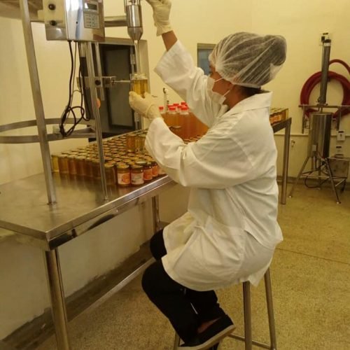 Indicação Geográfica valoriza mel sustentável da floresta