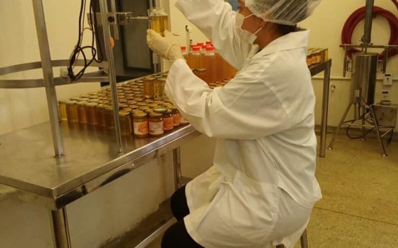 Indicação Geográfica valoriza mel sustentável da floresta