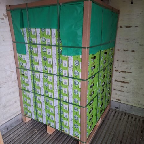 Produtores de goiaba de Carlópolis realizam a primeira exportação direta para Europa