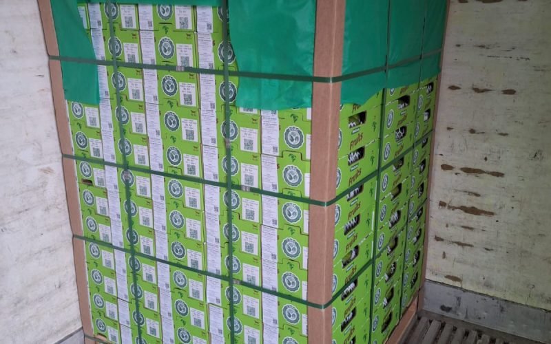 Produtores de goiaba de Carlópolis realizam a primeira exportação direta para Europa