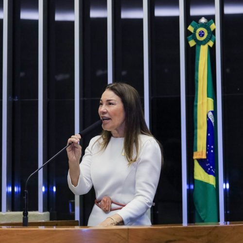 Sebrae já viabilizou mais de R$ 700 milhões em crédito para empreendedoras em 2025