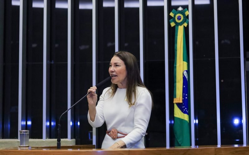 Sebrae já viabilizou mais de R$ 700 milhões em crédito para empreendedoras em 2025