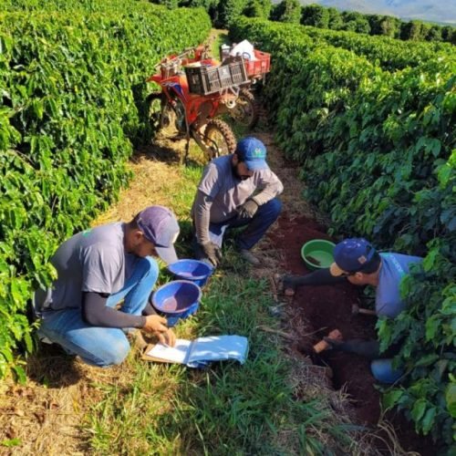Inscrições abertas de curso gratuito para jornalistas sobre mudanças climáticas e agricultura
