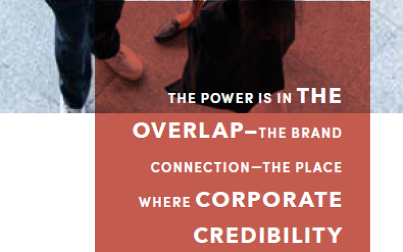 The Brand Connection