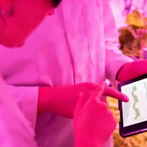 Programa vai ampliar a interiorização e democratização da inovação em todo o país