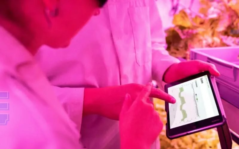 Programa vai ampliar a interiorização e democratização da inovação em todo o país