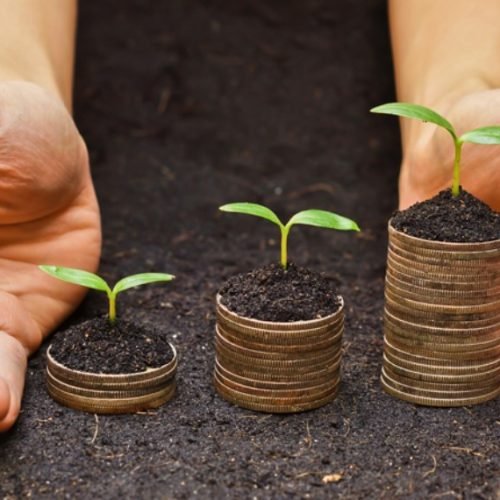 Delas Summit 2025 valoriza negócios criados por mulheres com impacto ambiental e social