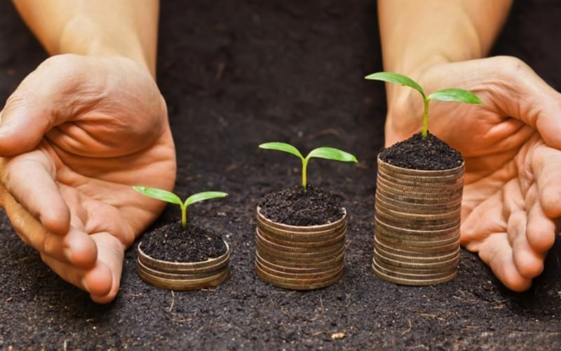 Delas Summit 2025 valoriza negócios criados por mulheres com impacto ambiental e social