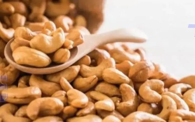 Castanha de caju conquista primeira Indicação Geográfica e destaca RN no cenário nacional