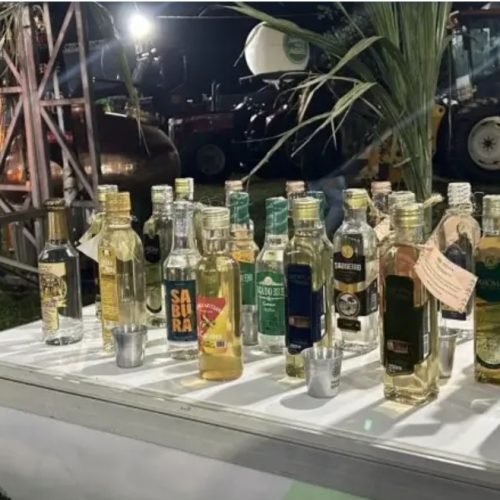 Brasil alcança 150 IGs nacionais e celebra reconhecimento de duas novas regiões produtoras de cachaça