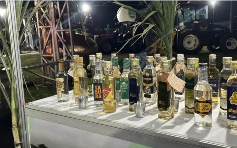 Brasil alcança 150 IGs nacionais e celebra reconhecimento de duas novas regiões produtoras de cachaça