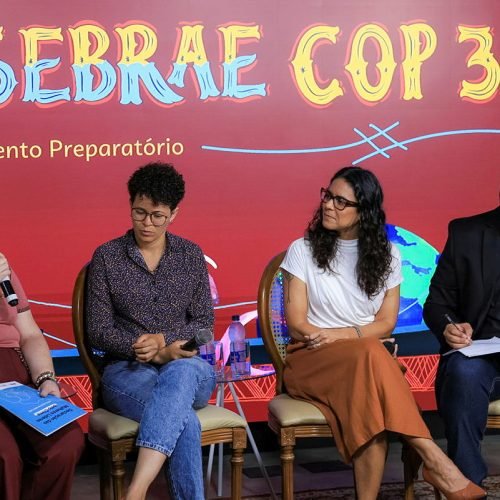 Papel das mulheres empreendedoras na agenda climática é tema de debate