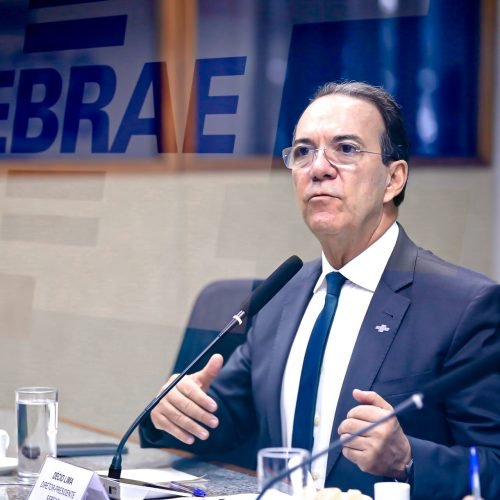 Empregos e empreendedorismo: pequenos negócios ajudam a emancipar beneficiários do Bolsa Família