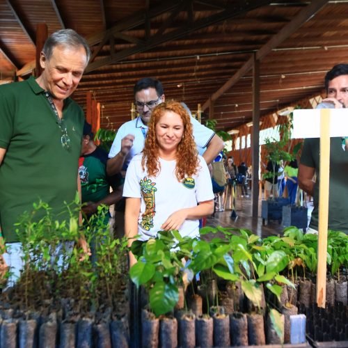 Incubadora de startups da bioeconomia amazônica é lançada no Pará