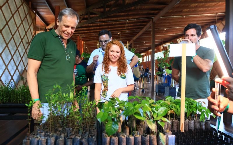 Incubadora de startups da bioeconomia amazônica é lançada no Pará