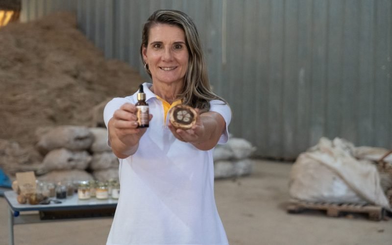 Bioeconomia nos cocais: indústria sustentável do babaçu gera renda e qualidade de vida