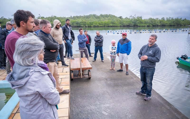 Sabor e tradição: ostras do Cabaraquara (PR) conquistam selo de Indicação Geográfica