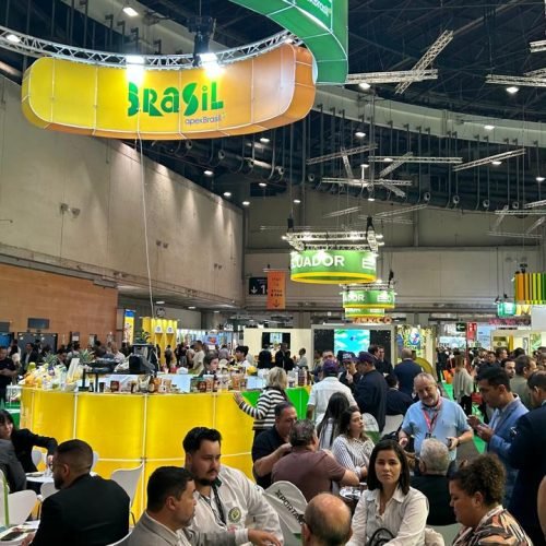 Na Espanha, goiaba de Carlópolis abre mercados e atrai novos compradores