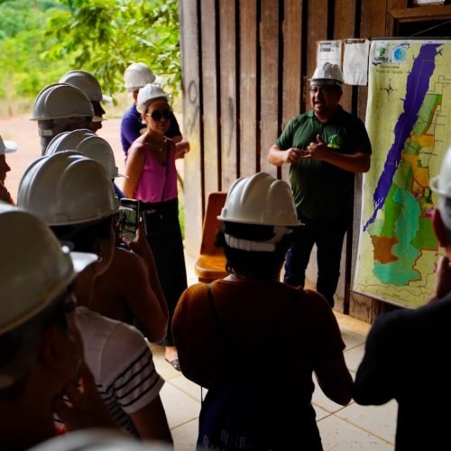 Sebrae acelera a bioeconomia amazônica: conexões que transformam o potencial em realidade