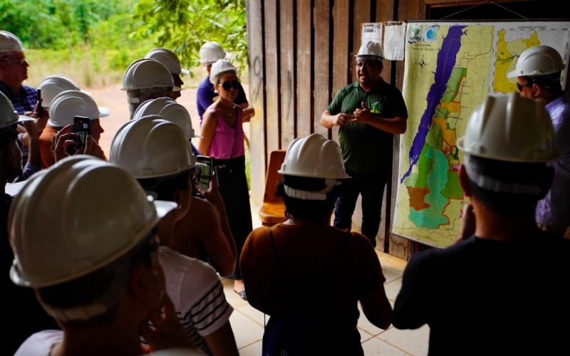 Sebrae acelera a bioeconomia amazônica: conexões que transformam o potencial em realidade