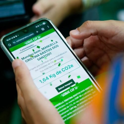 Participação do Sebrae na COP30 terá compensação integral de carbono