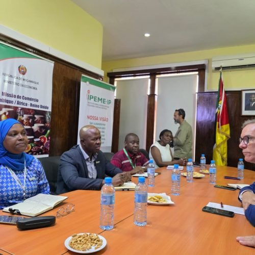 Sebrae reforça ações de cooperação internacional em missão a Moçambique