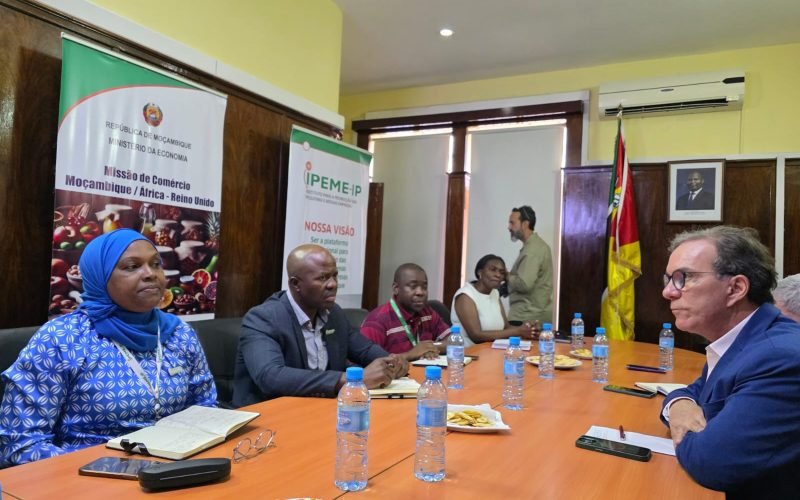 Sebrae reforça ações de cooperação internacional em missão a Moçambique