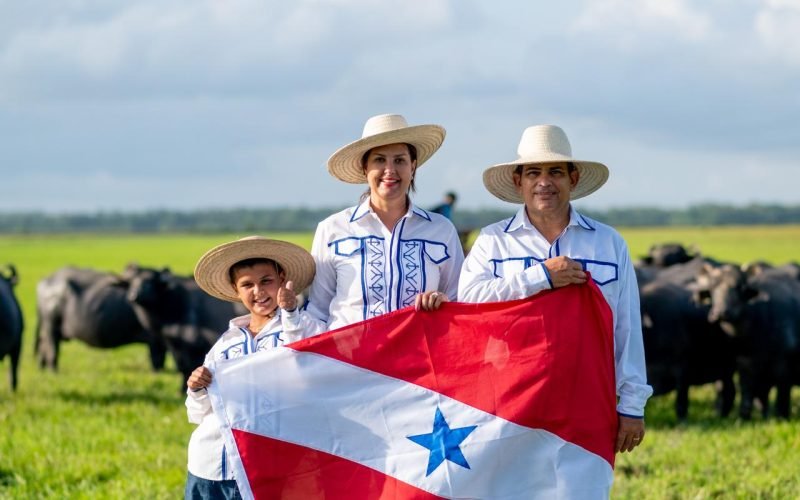Dia Mundial do Queijo: o sabor artesanal brasileiro que conquista o mercado