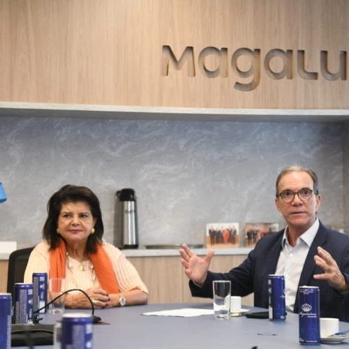 Sebrae e Magalu querem incluir vendedores parceiros na plataforma Magalu