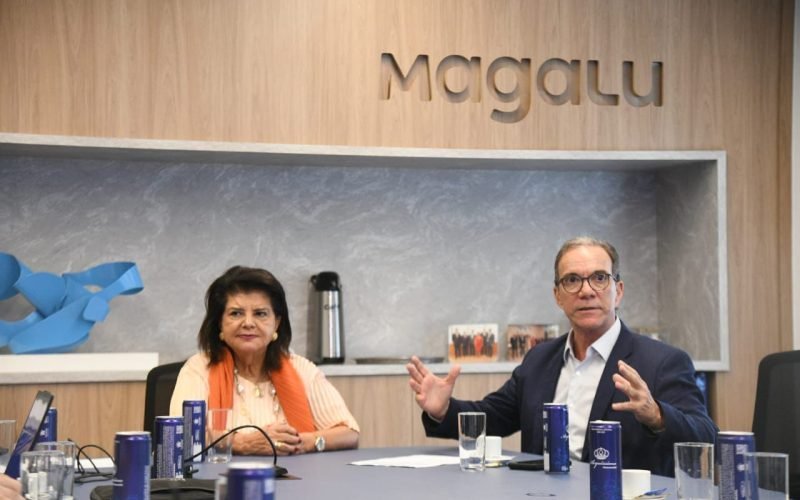 Sebrae e Magalu querem incluir vendedores parceiros na plataforma Magalu