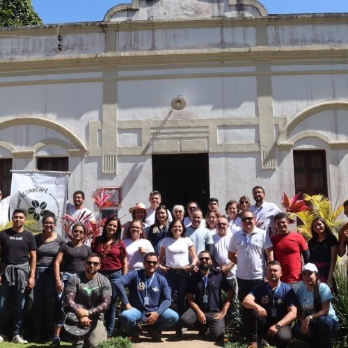 Café da Serra de Baturité conquista IG e reforça tradição sustentável no Ceará