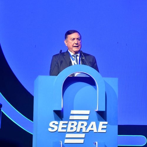 Sebrae reúne conselheiros em São Paulo e reforça papel estratégico dos pequenos negócios no país