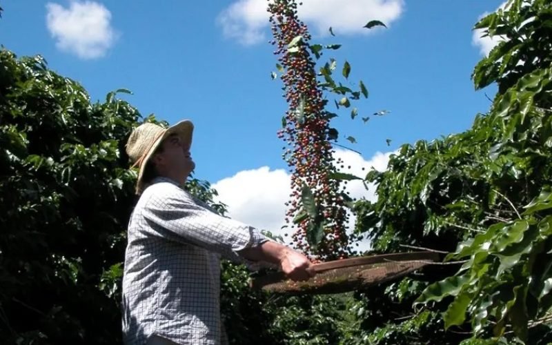 Circuito das Águas Paulista conquista Indicação Geográfica para cafés especiais da Mantiqueira