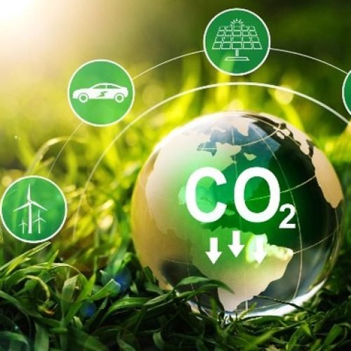 Taxa de carbono X certificação de carbono: entenda a diferença