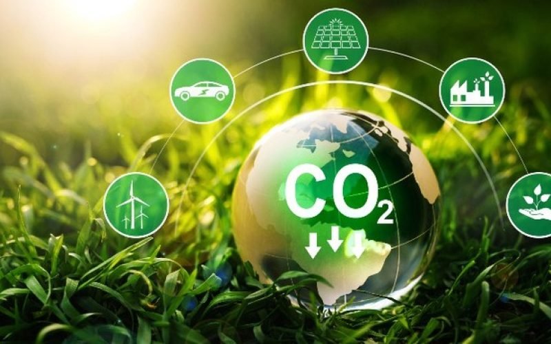 Taxa de carbono X certificação de carbono: entenda a diferença