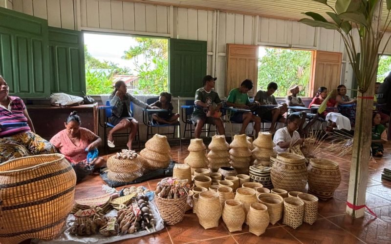 Sebrae faz uma expedição pela floresta e revela a potência do empreendedorismo indígena no Amazonas