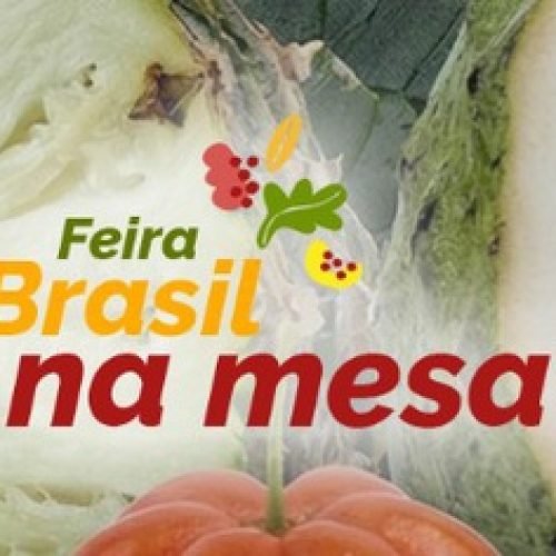 Feira Brasil na Mesa destaca riqueza e diversidade alimentar produzida por pequenos agricultores