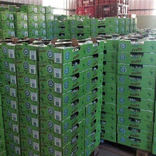 Goiaba de Carlópolis leva sabor e tradição do Paraná à Fruit Attraction, na Espanha