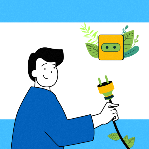 Pequenos negócios verdes crescem 20% em cinco anos