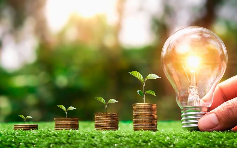 Sebrae fortalece ecossistema de bioeconomia do Baixo Amazonas