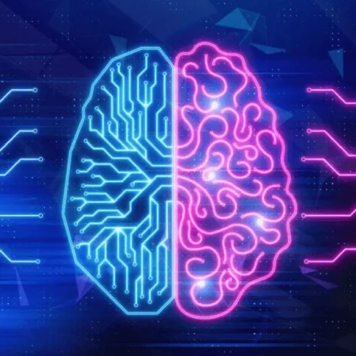 Ecossistema de startups supera 20 mil empresas ativas e se espalha pelo país