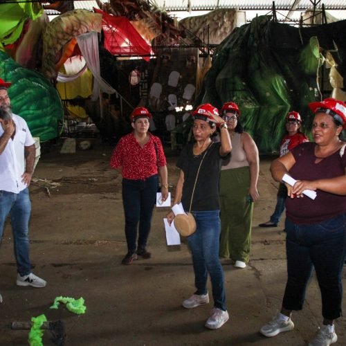 Artistas de Parintins incorporam o empreendedorismo à tradição do boi-bumbá