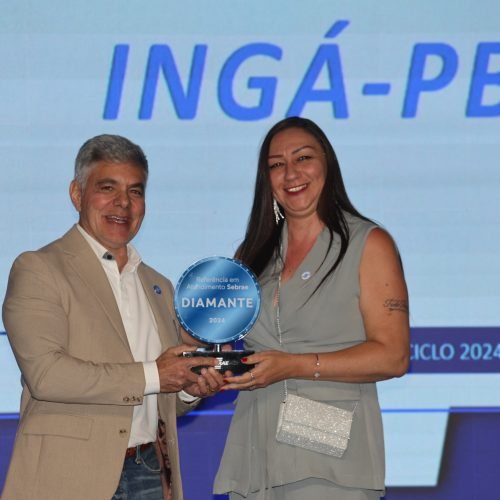 Sebrae reconhece excelência do atendimento de 114 Salas do Empreendedor em 16 estados