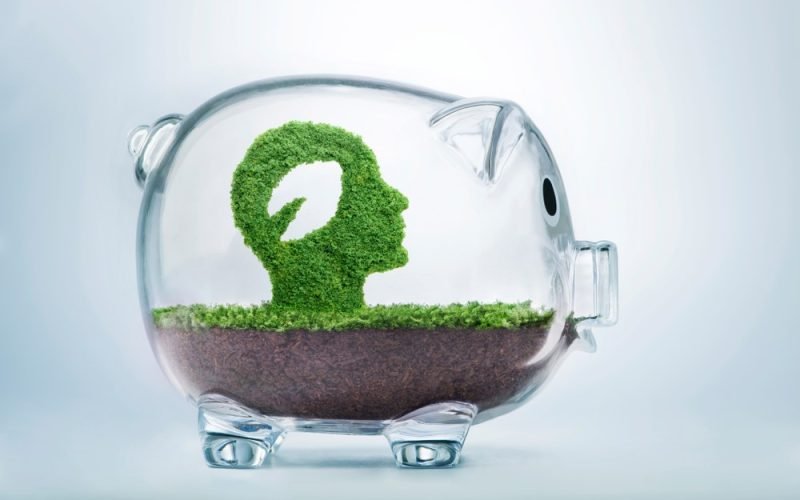 Qual a diferença entre financiamento climático e Fundo Verde para o Clima?