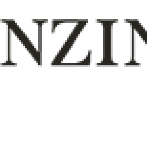 Bravo Impact Award | Zinzino